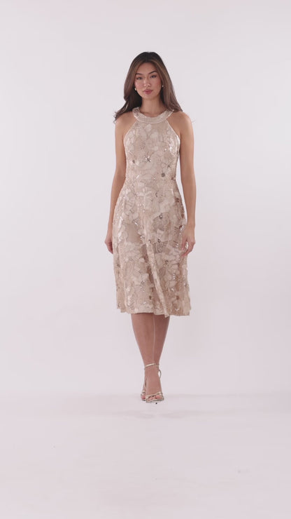 "Piper" Soutache & Sequin Sleeveless Short Dress - Champagne | Betsy & Adam